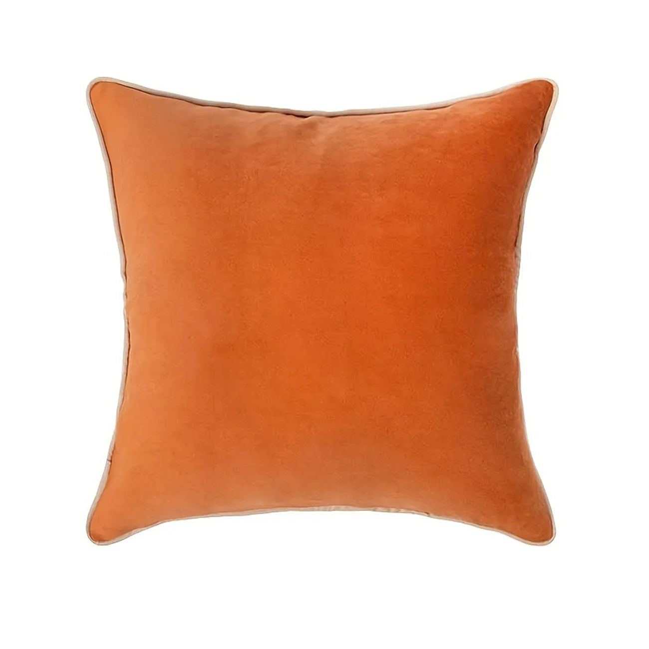 Valen Velvet Cushion Cover
