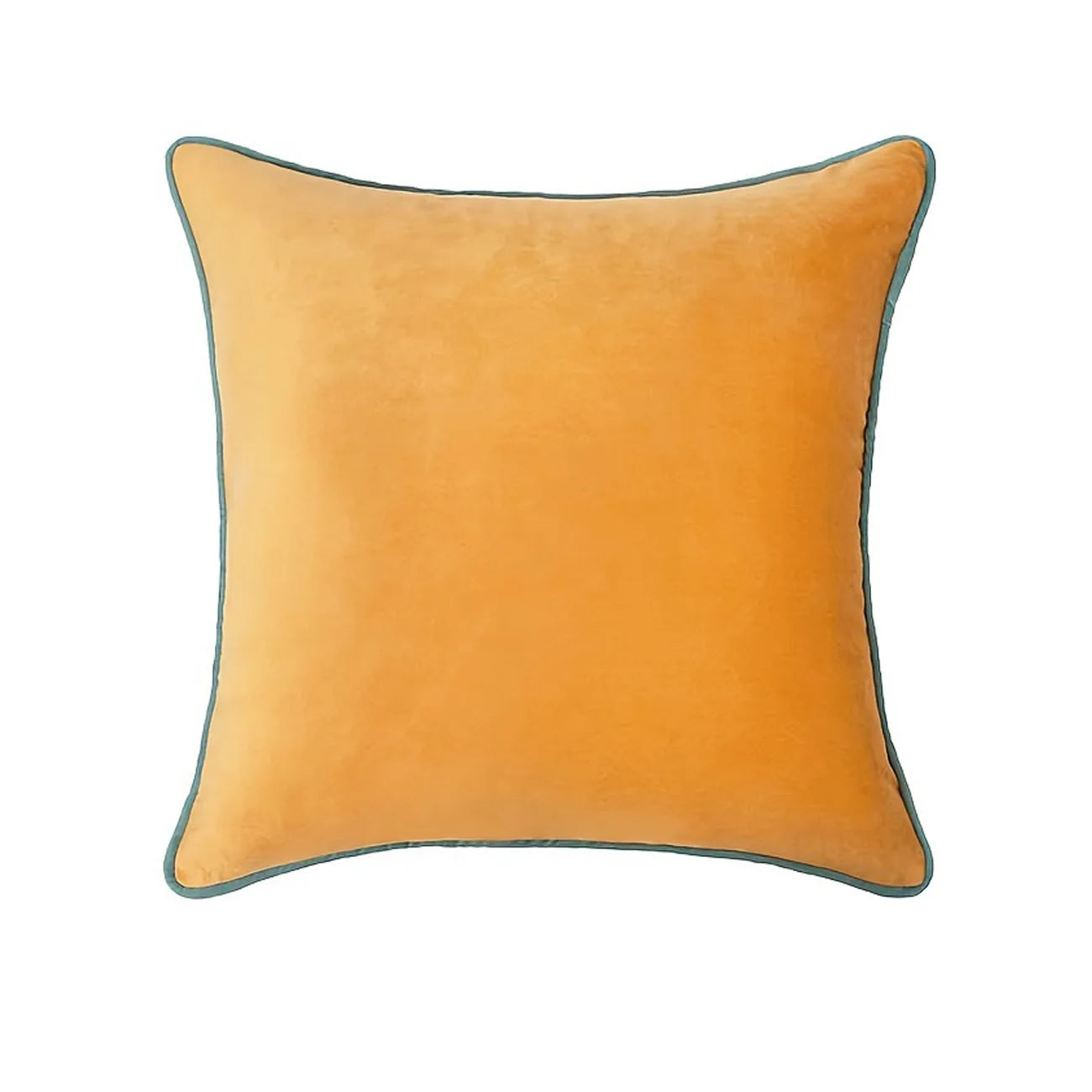 Valen Velvet Cushion Cover